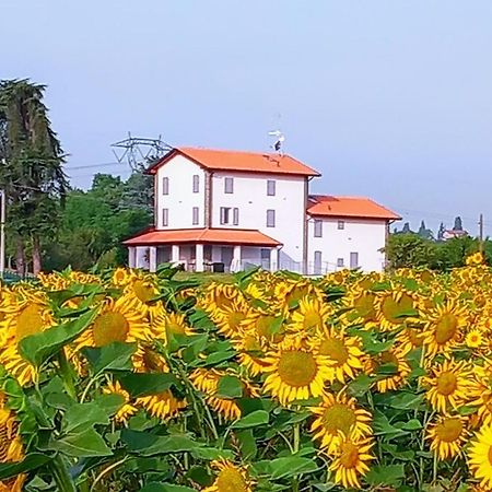 La Collinetta B&B 크레스펠라노 외부 사진
