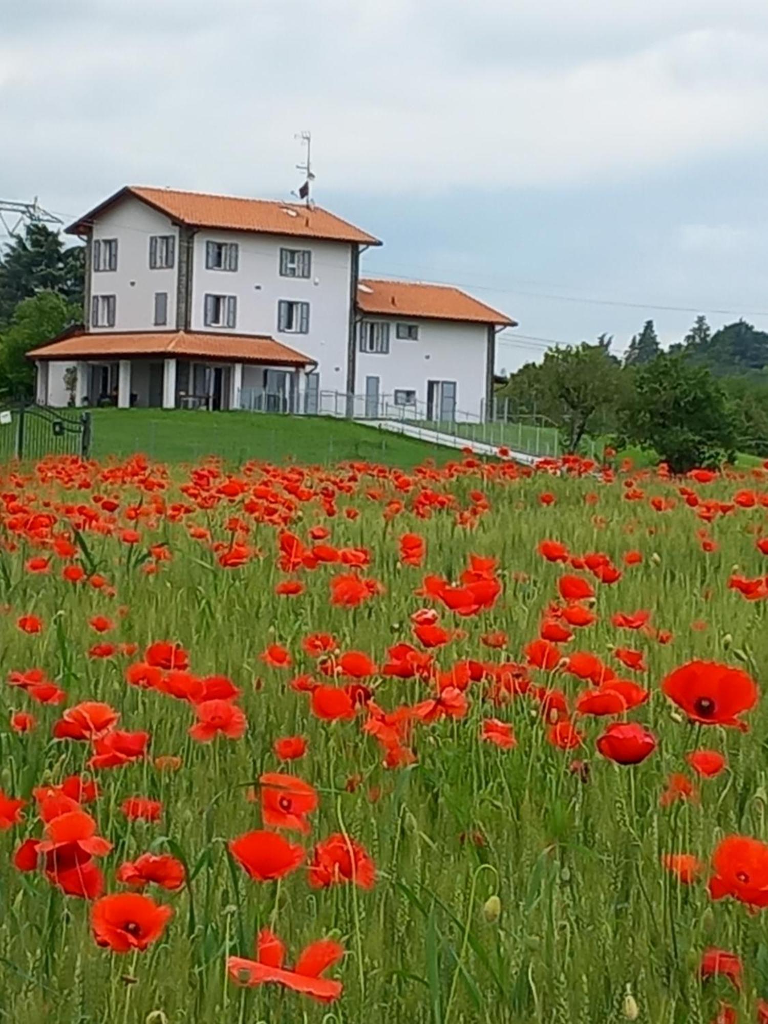 La Collinetta B&B 크레스펠라노 외부 사진